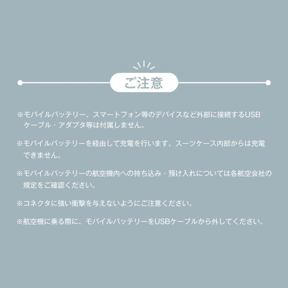 スーツケース｜Lサイズ｜USB｜7-14日｜大型｜PP315895CAA