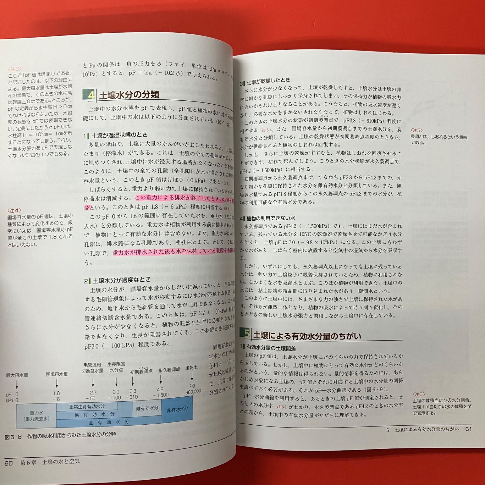 新版 土壌学の基礎 生成・機能・肥沃度・環境 農学基礎シリーズ　lp_c30_393