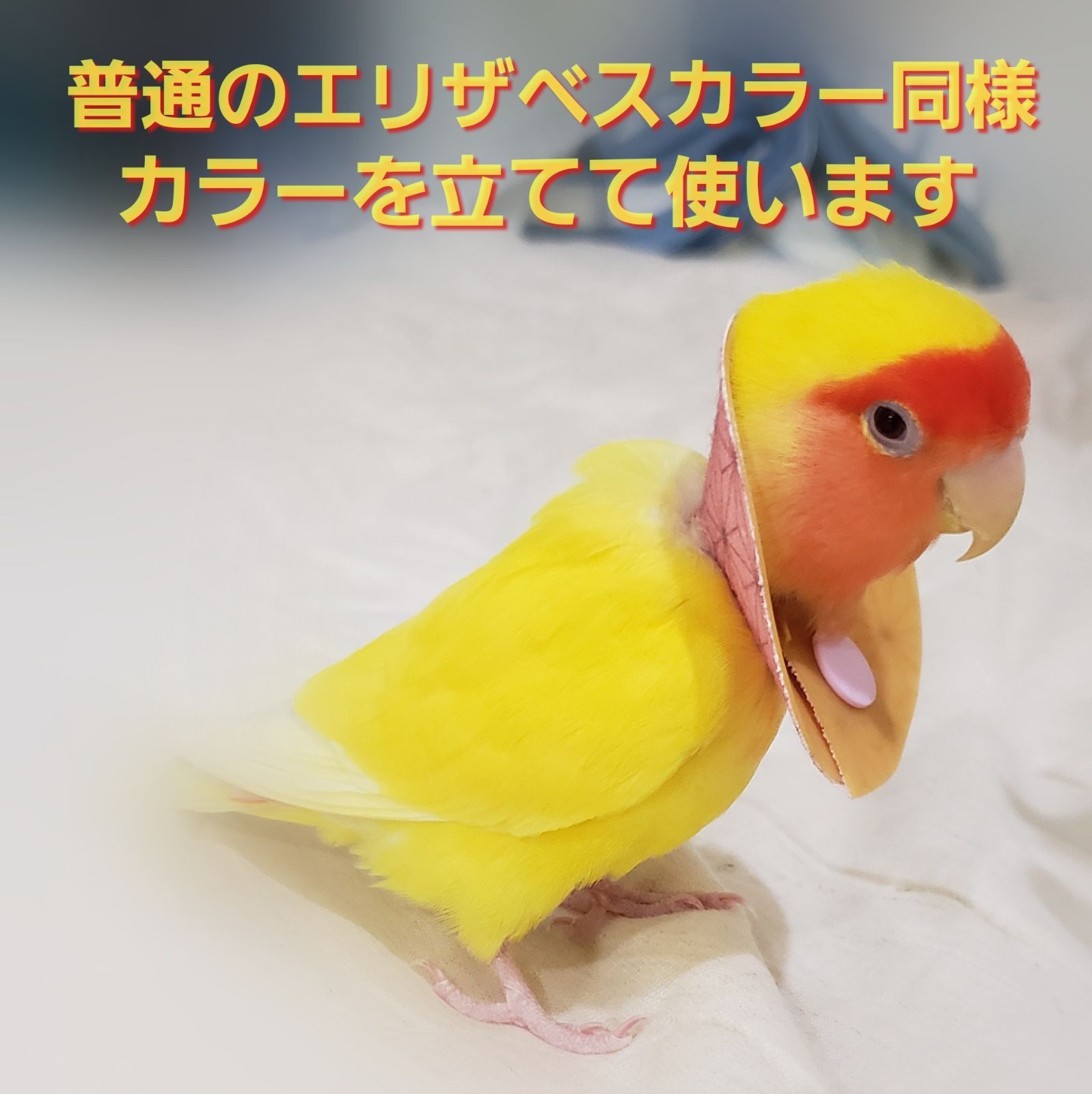 インコ エリザベスカラー(ネックガード)2個セット・3サイズ・2g - 鳥