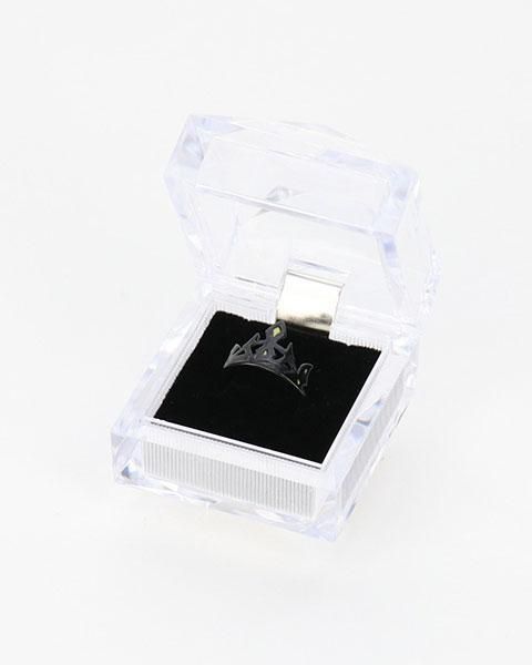 友情 バビロニア- リングネックレス エレシュキガル 14A8719