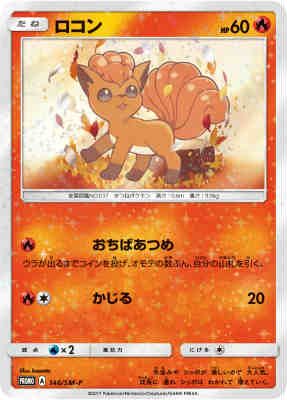 ロコン 146|SM-P
