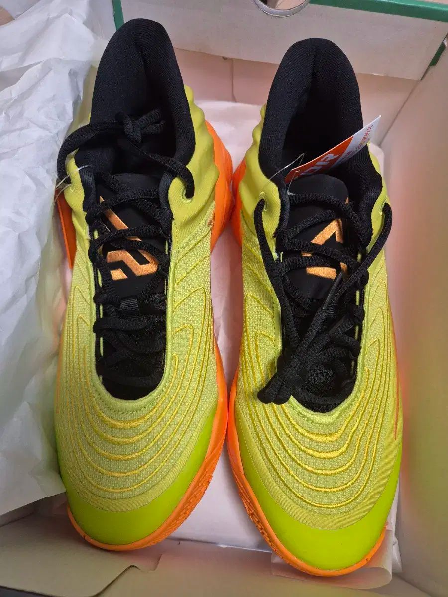 NIKE ナイキ バスケットシューズ 270 不道徳 4