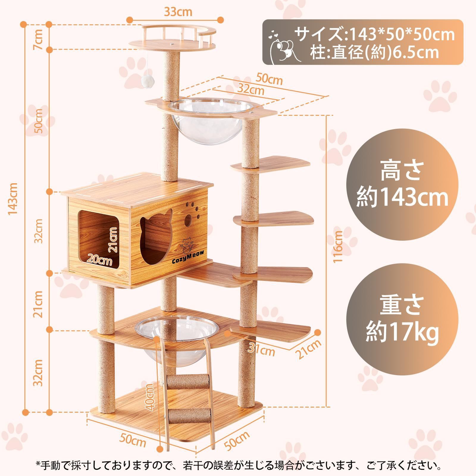 子猫