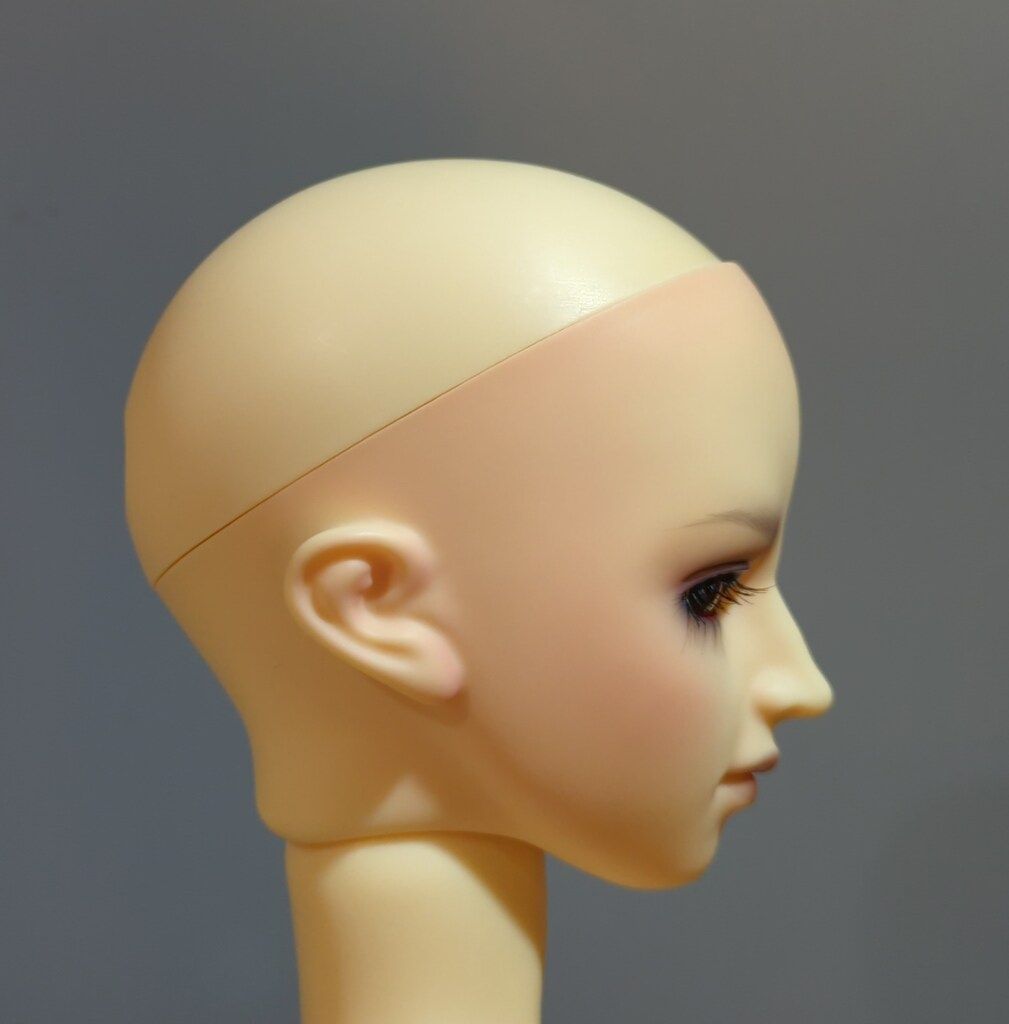 ボークス