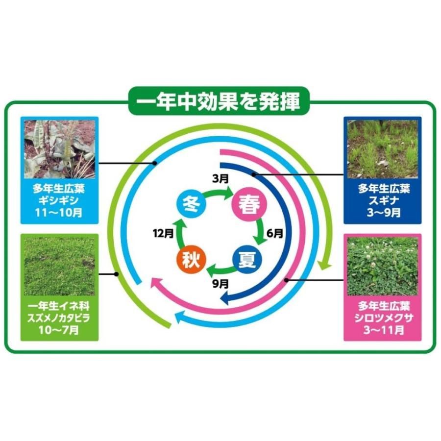 草退治E粒剤