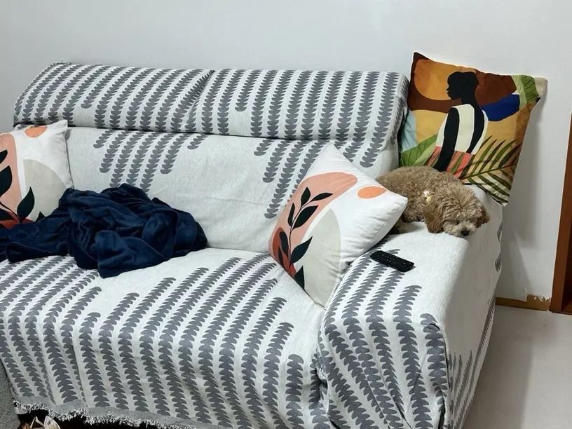 かけるだけ