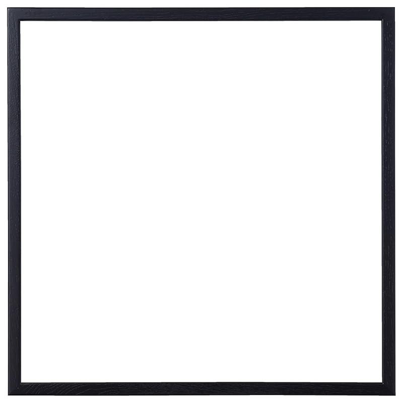 ラーソン ジュール ニッポン 額縁 D816 正方形 50cm角 内寸500x500mm ブラック