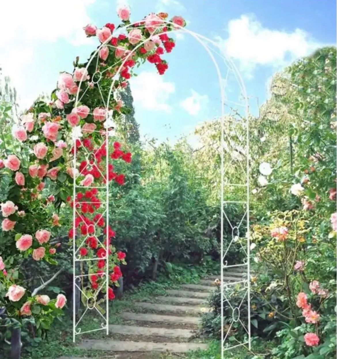 鉄製アーチ 新品 ホワイト バラアーチ 薔薇アーチ 誘引 クレマチス