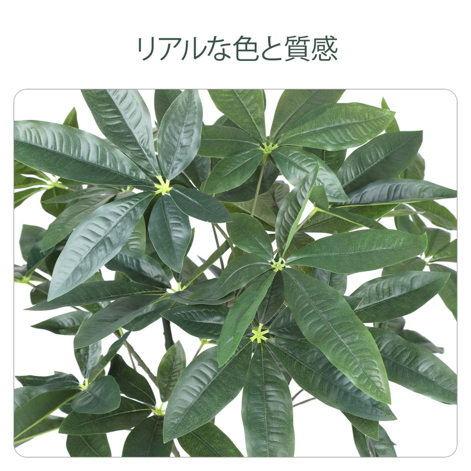 インテリア