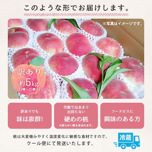 食品 山梨県産 桃 朝採り直送（5キロ）