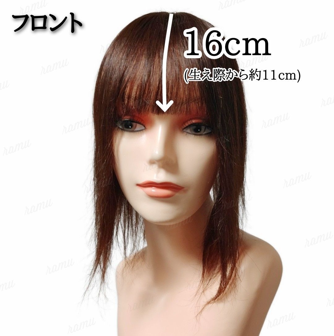 長さフロント【新品】高級人毛100％ ヘアピース モカブラウン④-35cm