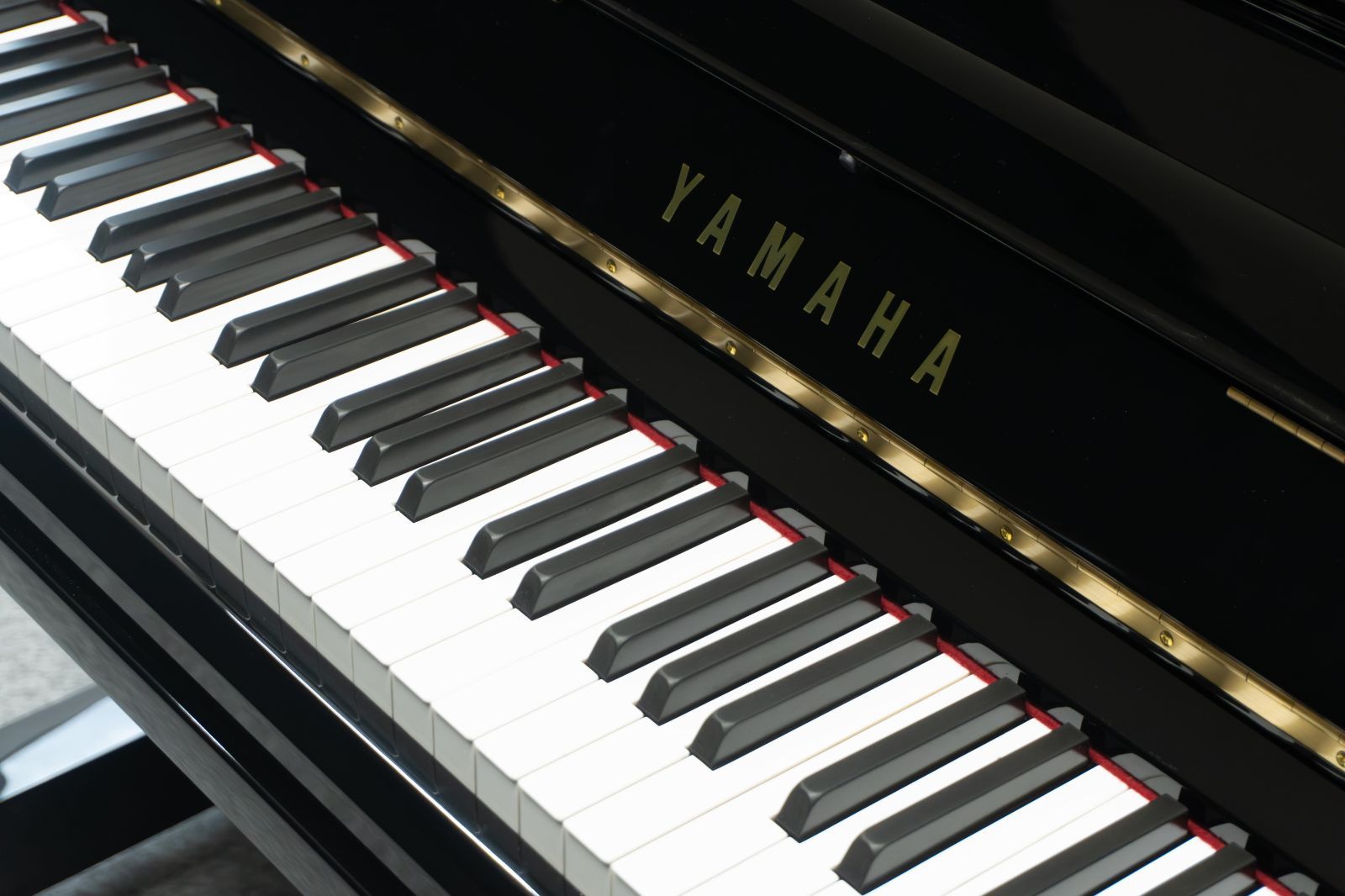 リニューアル済