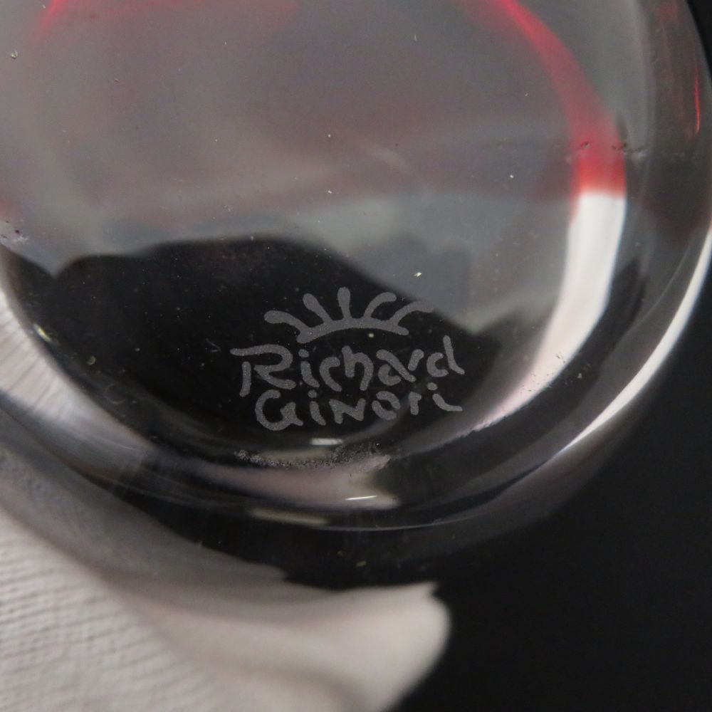 ペラルゴニウム ミラビレ ベアルート 62401発根済み早い者勝ち