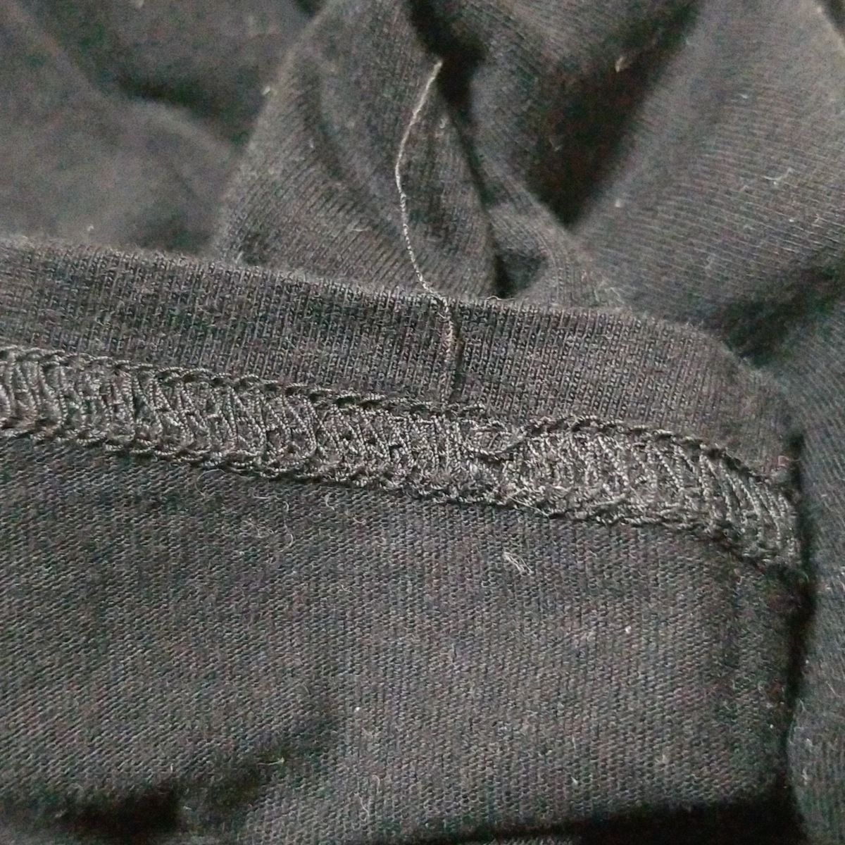 龍