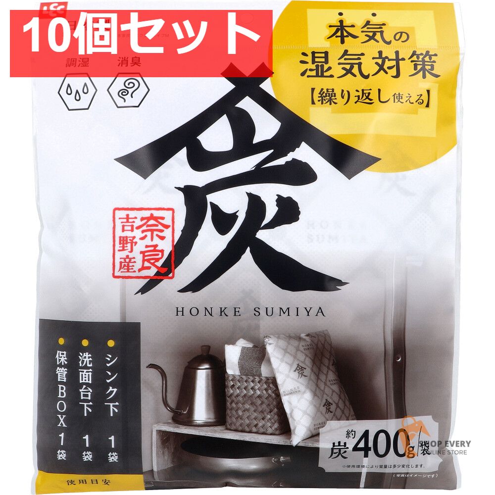 調湿 消臭木炭 本家炭屋 スクエアタイプ M 1個入 10個セット