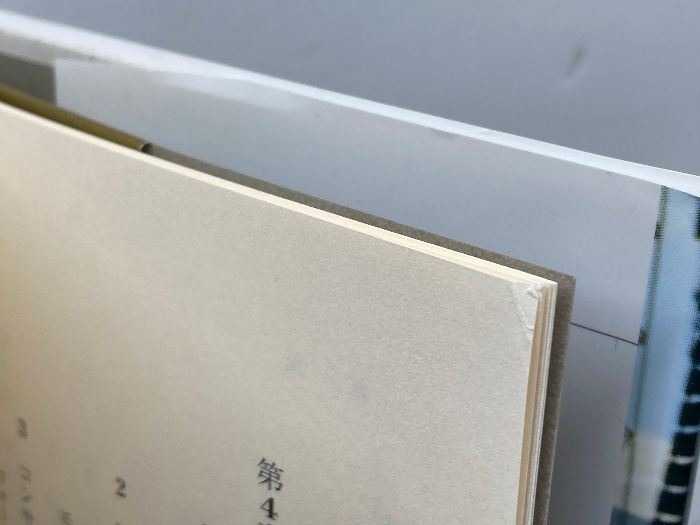 ロックフェスの社会学:個人化社会における祝祭をめぐって (叢書