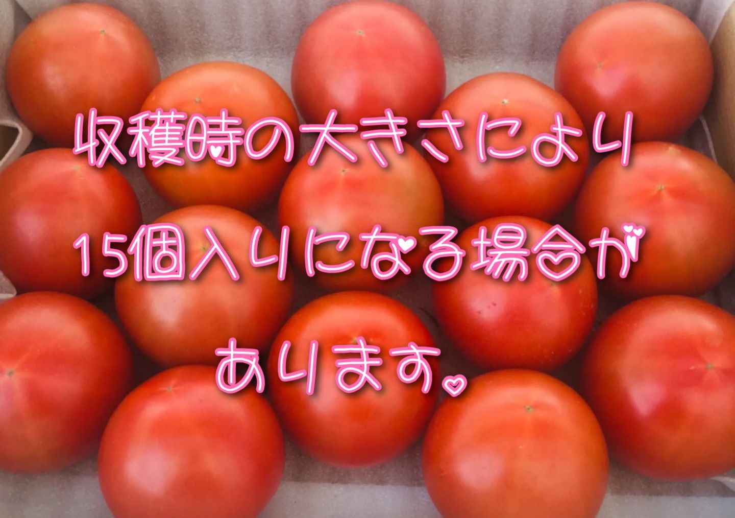 贅沢トマト🍅(ぜいたくとまと)＋α！農家直送！メルカリ便60！フルーツトマト！常温配送！