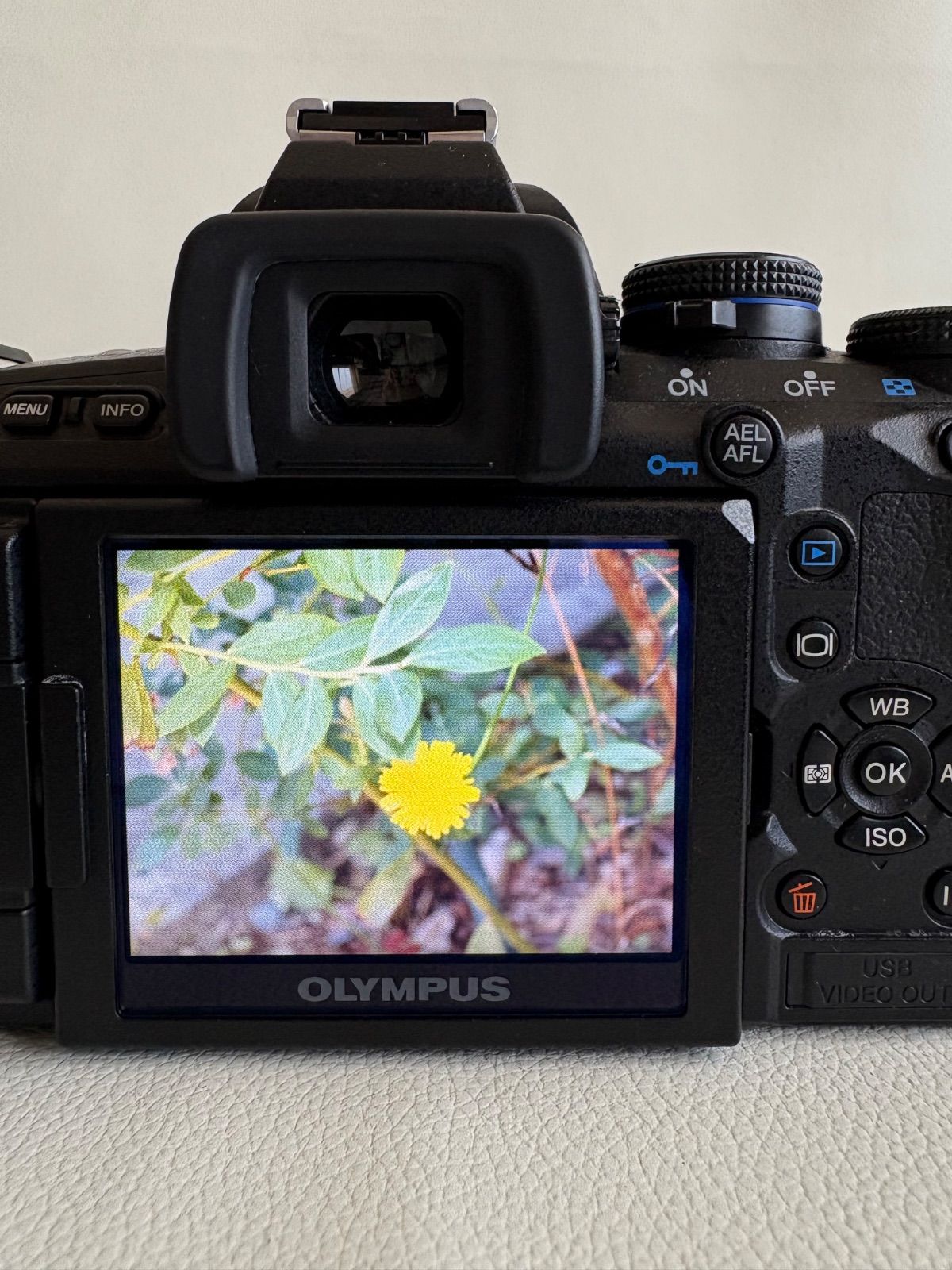 OLYMPUS オリンパス デジタル一眼カメラ E-620 ダブルレンズキット