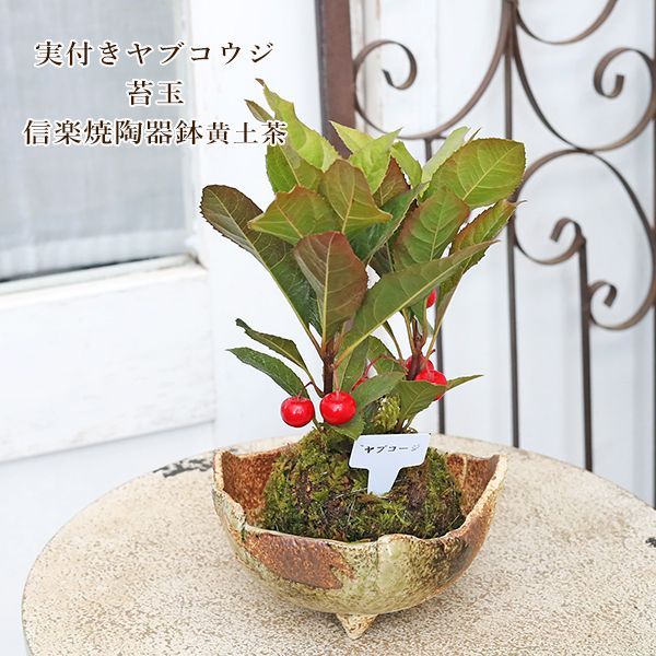 鑑定品 PSA10 極美品　世界11枚　最安値　メタル化・魔法反射装甲　パラレル Amazon.co.jp: 【遊戯王カード】 レアメタル化・魔法反射装甲 EE3