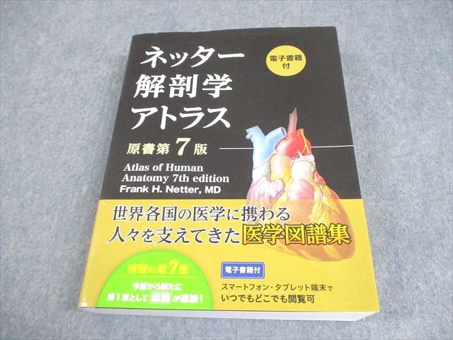 南江堂 ELSEVIER ネッター解剖学アトラス 原書第7版 2025 040R3D