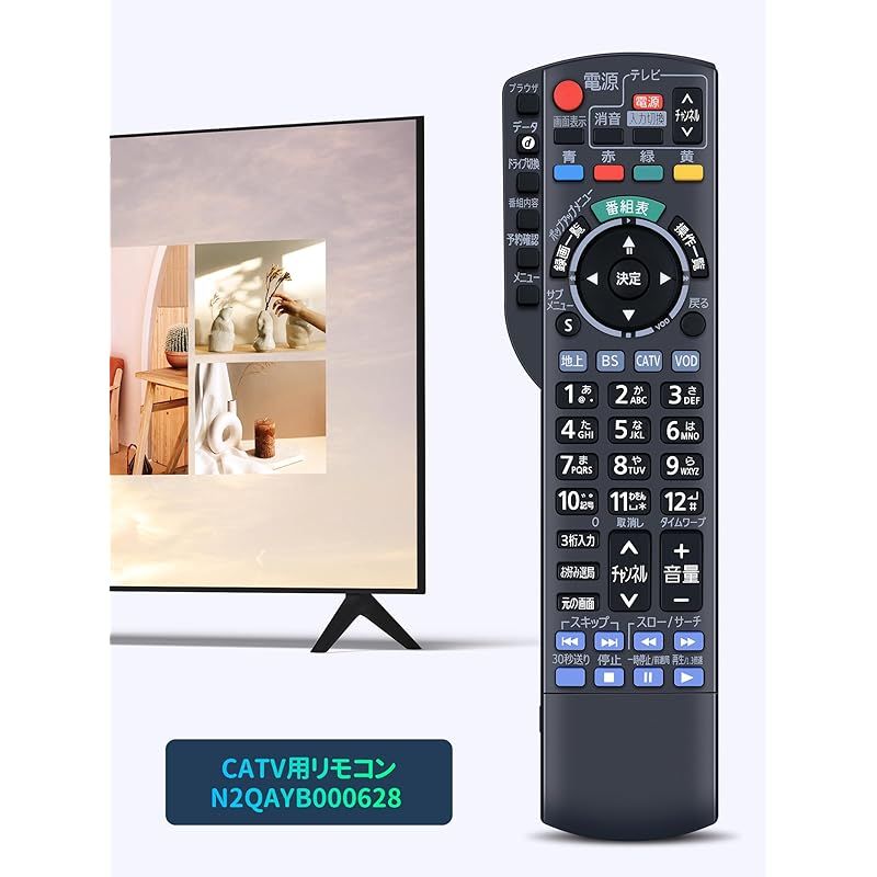 Panasonic