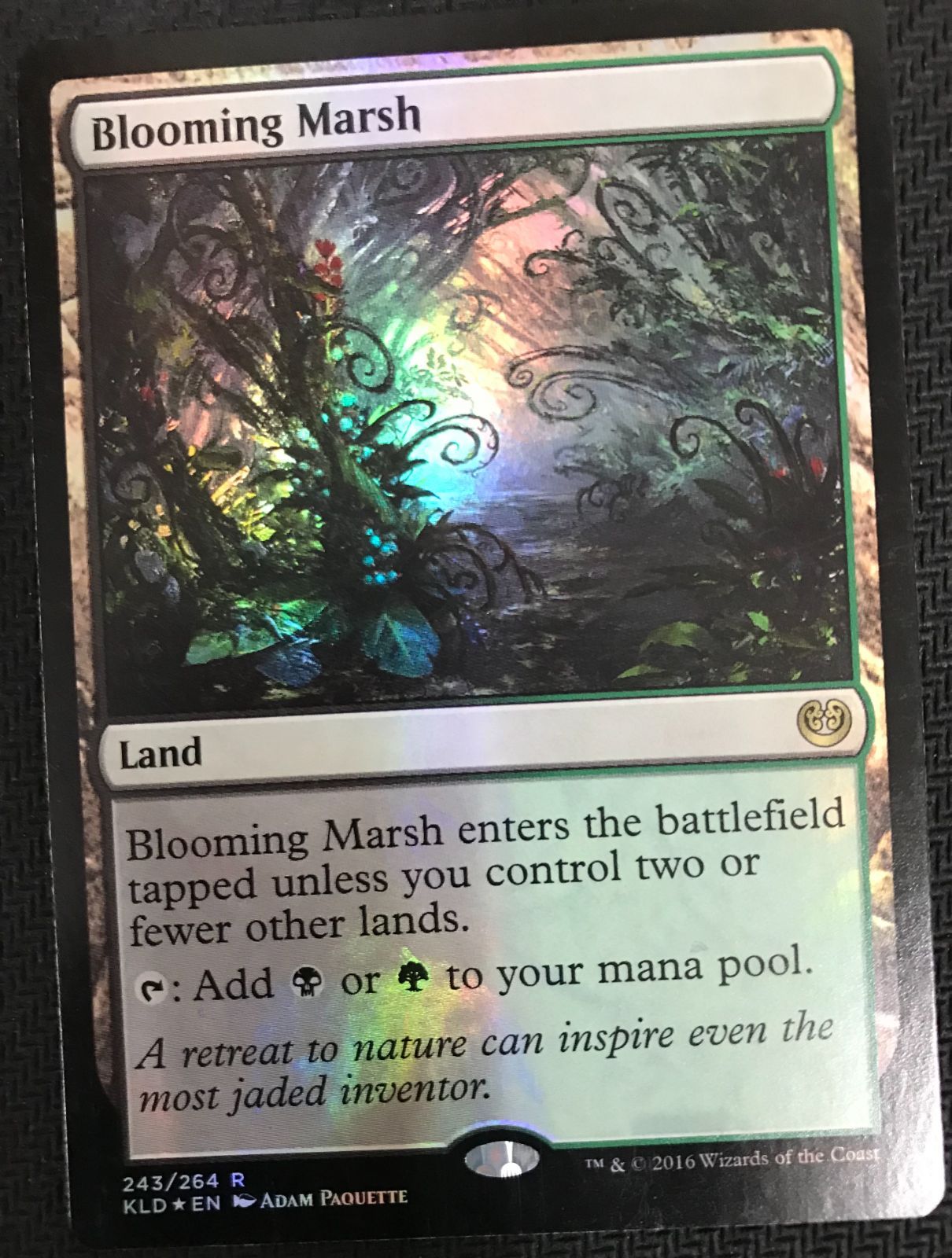 mtg 花盛りの湿地　foil 4枚 MTG 花盛りの湿地 FOIL 4枚セット secret lair - メルカリ
