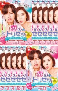 恋のトリセツ フンナムとジョンウムの恋愛日誌 12枚セット 第1話～第24話 字幕 全巻セット 洋画 DVD レンタル落ち