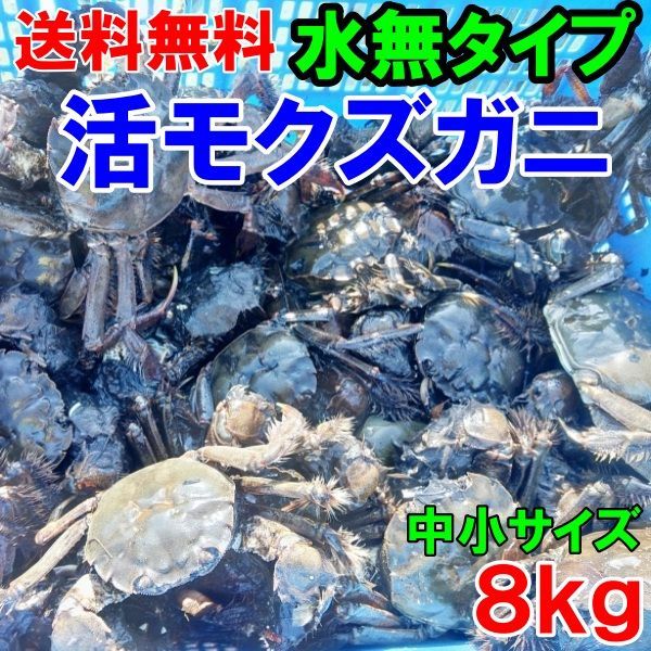 活モクズガニ「【海水なしタイプ】 小中サイズ８kg」(目安 80-160杯) ツガニ つがに 宮城県松島湾産 配送地域四国中国九州沖縄の方におススメ 他に大サイズも出品中 もくずがに