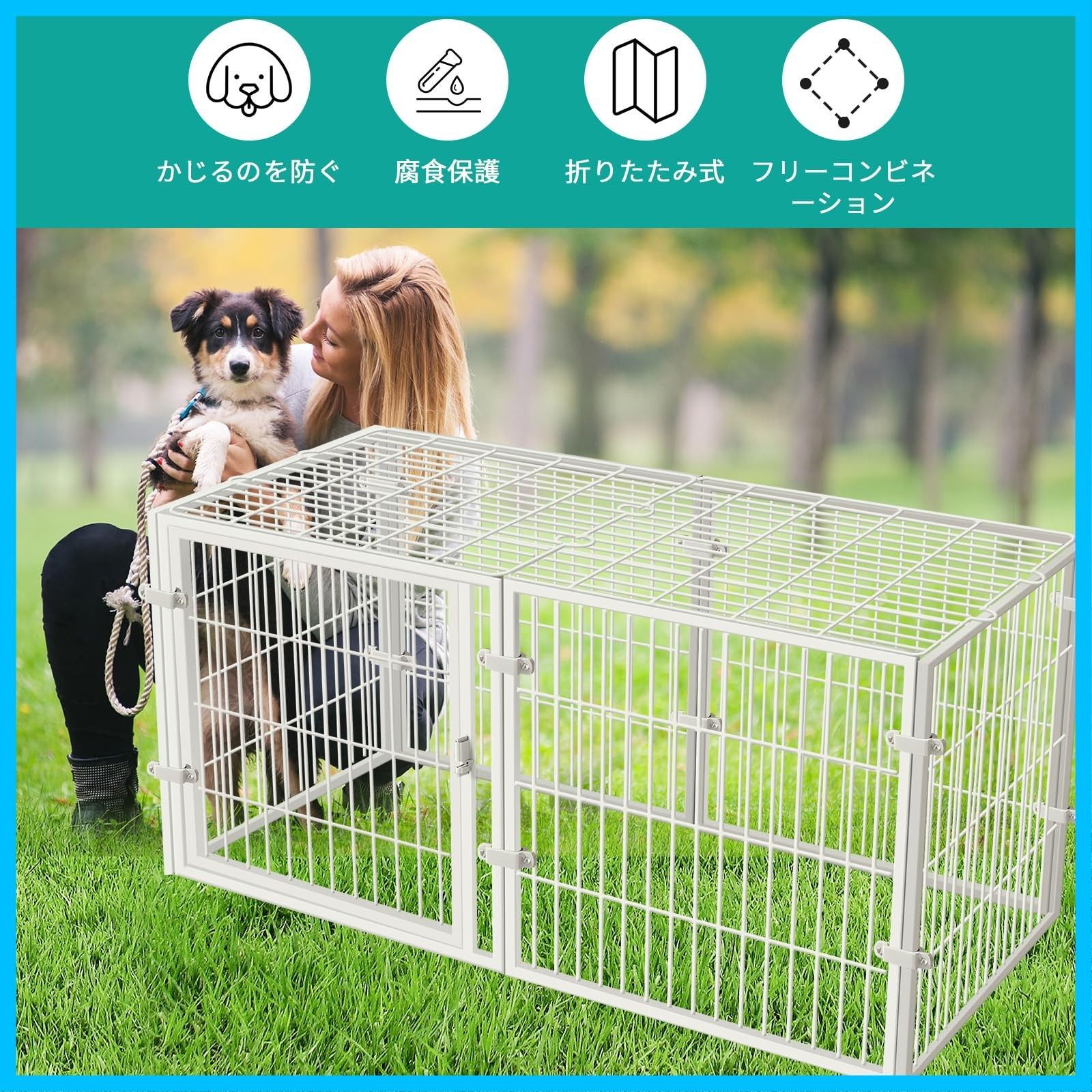 自立