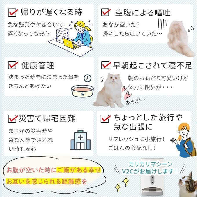 ドッグフード