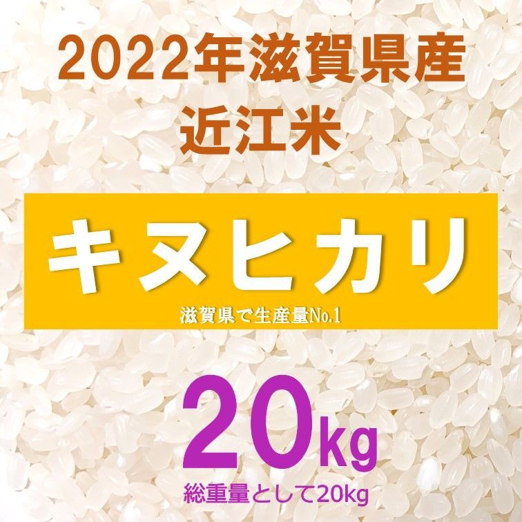 2022年滋賀県産 近江米 キヌヒカリ 20kg 精米いたします！￥300/kg