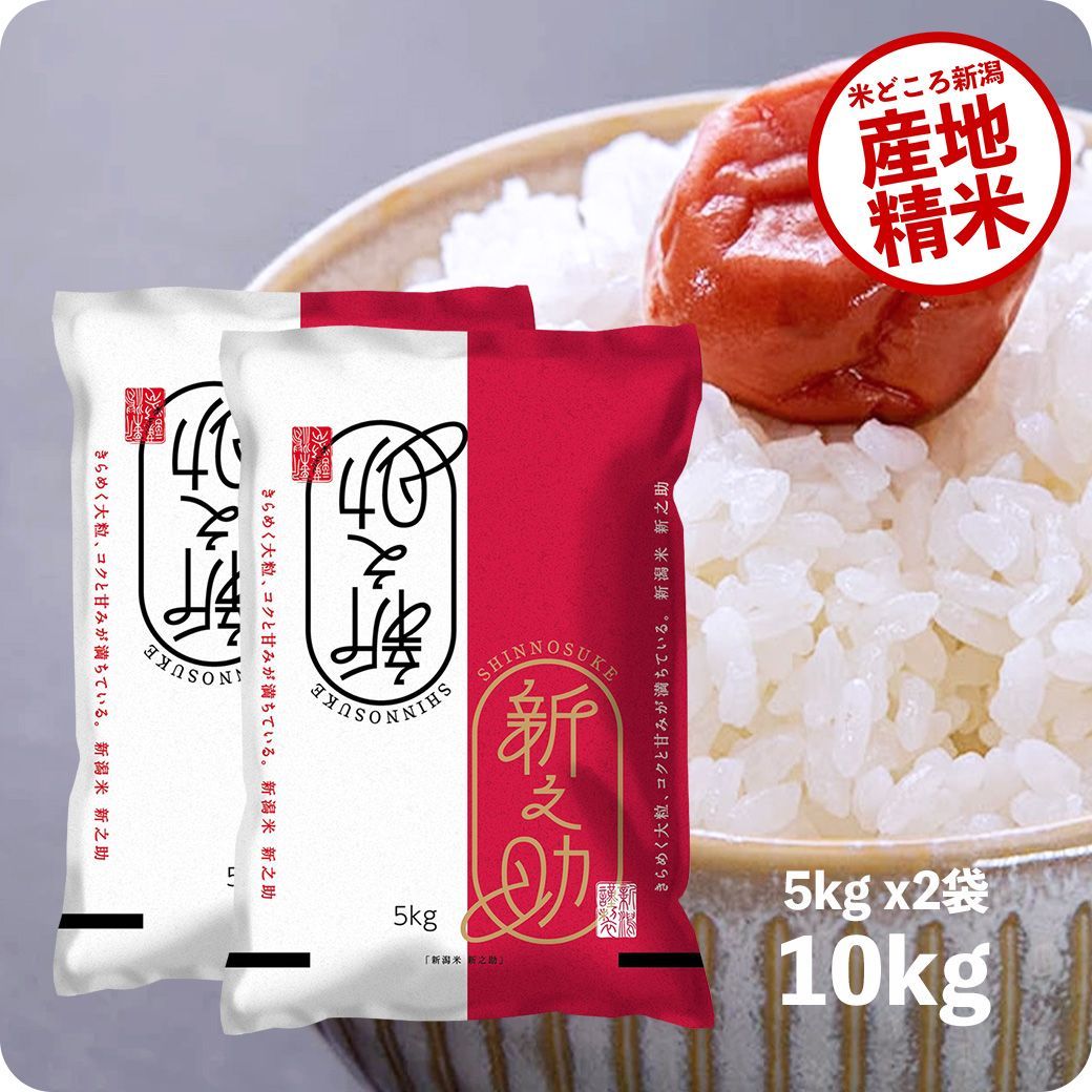 米 新之助10kg お米 10キロ 令和6年産 白米 沖縄のぞく
