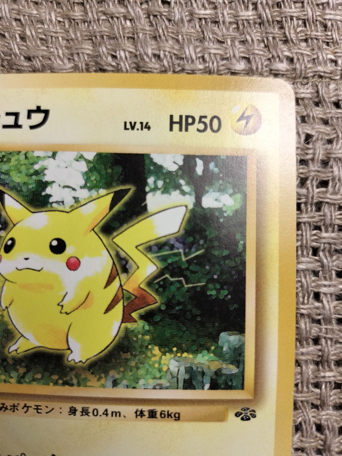 旧裏 ノーマル 約130枚 まとめ売り 状態C】旧裏 No.007 ゼニガメ Lv.8/HP40