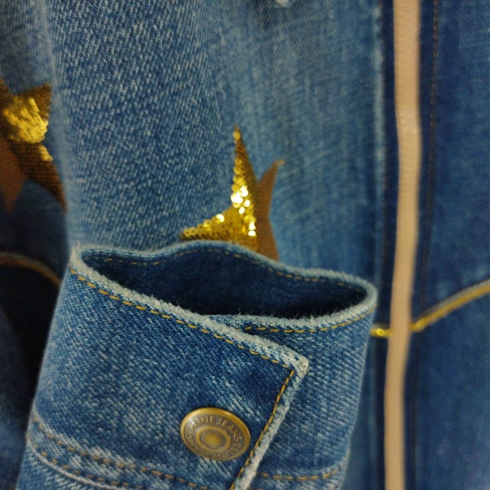 CELINE (セリーヌ) 22SS Hedi Slimane スター エンブロイダリー