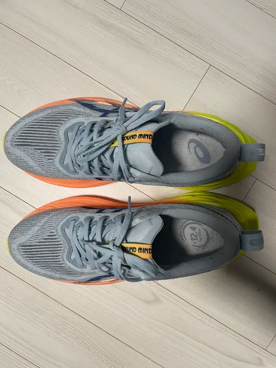 Asics アシックス スーパーブラスト 2 パリ 250