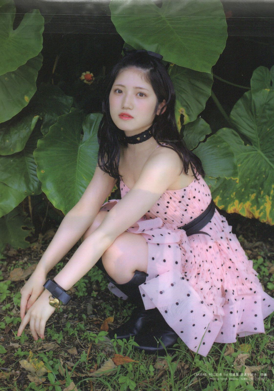 数量限定価格!! AKB48 村山彩希 プロフィール帳風カード その他