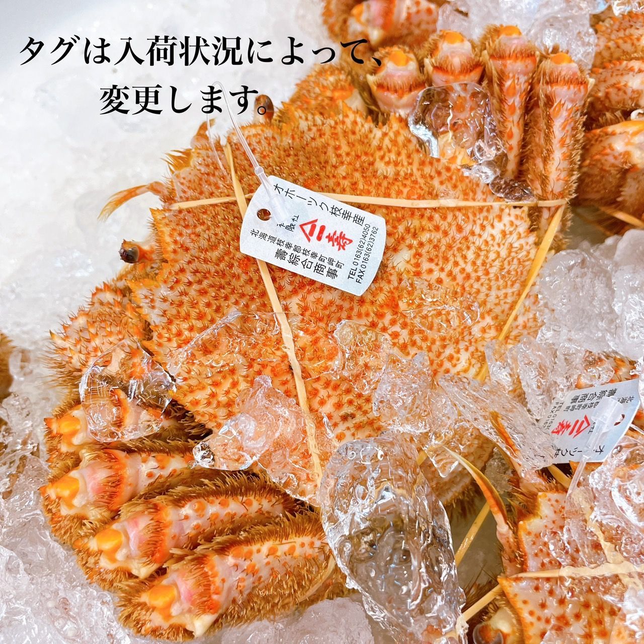 【北海道産】ボイル 冷凍毛蟹 400g～450g 三尾セット-3