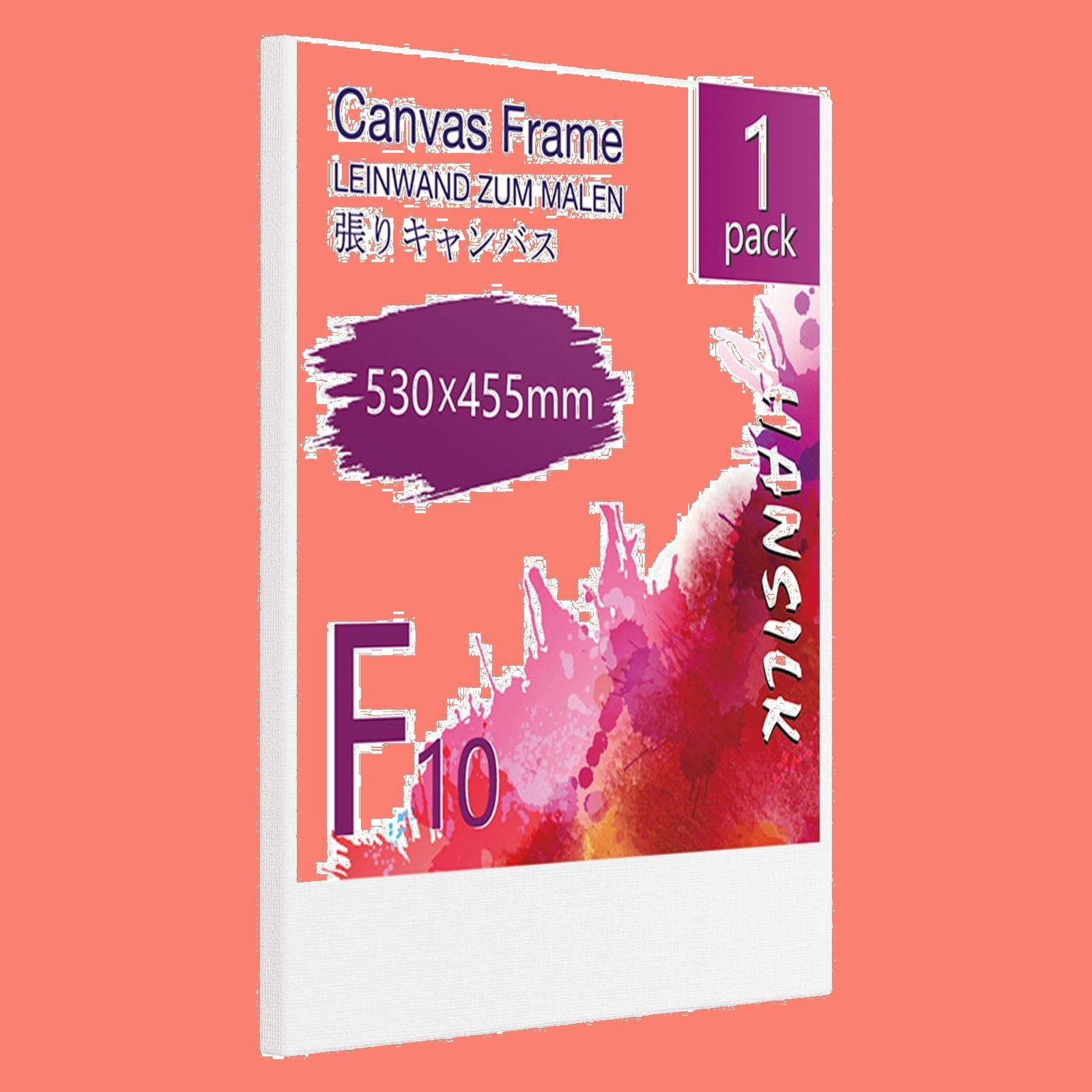 F15の中目 キャンバス バラ売り可 9枚 画材 画板 絵画 31e6yfcxR7L.jpg_BO30,255,255,