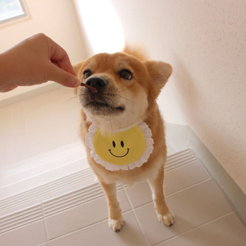送料込【犬服】にこちゃん スタイ かわいい 犬服 バースデイ