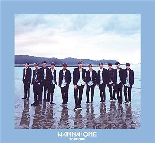 ワナワン 1×1=1(TO BE ONE) sky　廃盤　新品未開封 ワナワン 1×1=1(TO BE ONE) sky 廃盤 新品未開封特別