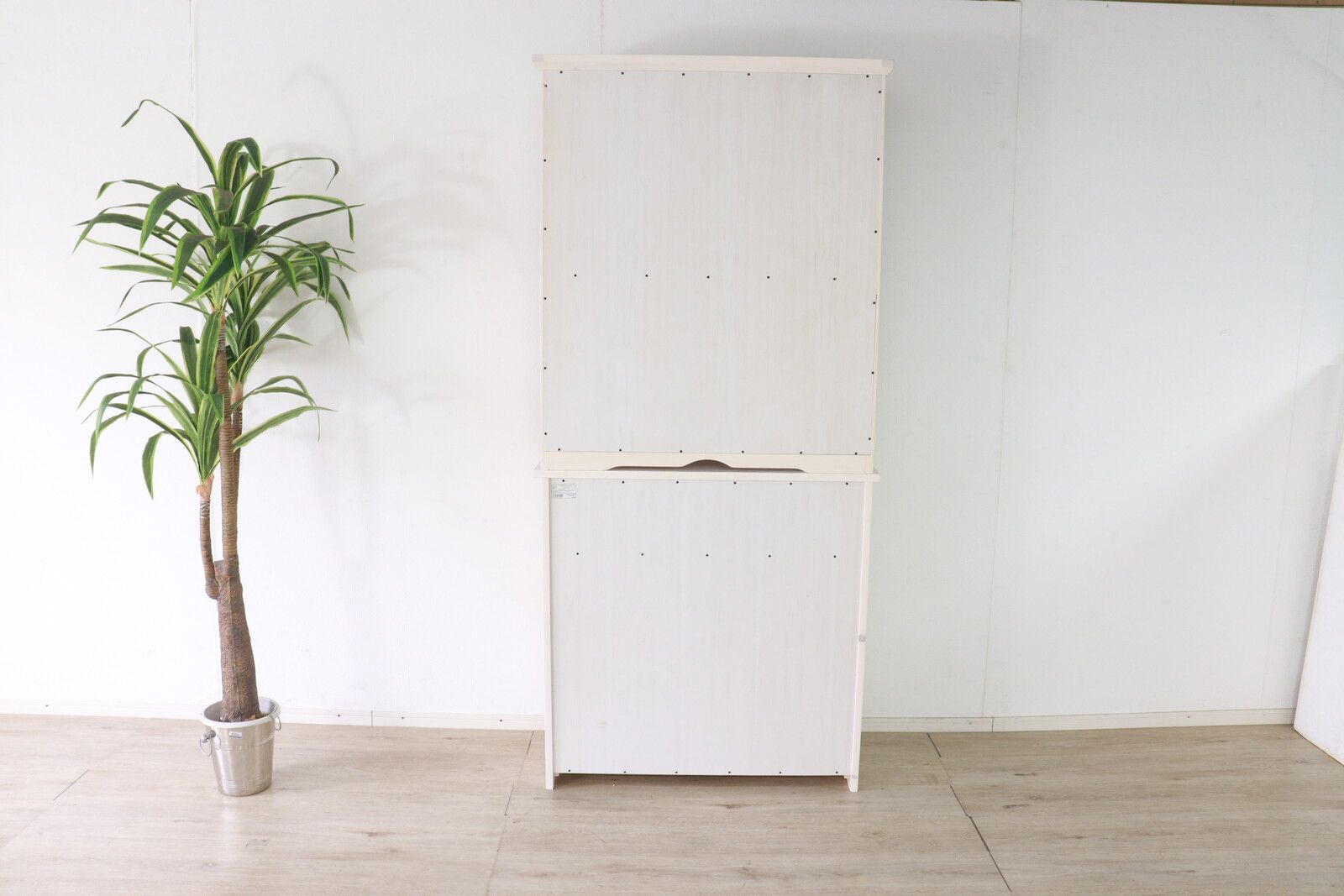 ホワイト giocoso