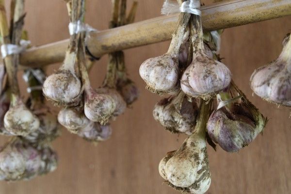 30日発送　熟成黒にんにく３キロ食品衛生責任者許可あり 黒にんにく 300g 熟成 無農薬 食品衛生責任者許可あり 送料無料
