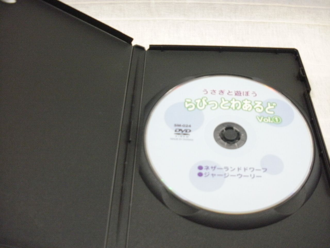 うさぎと遊ぼう らびっとわあるど Vol.① レンタル落ち 中古 DVD