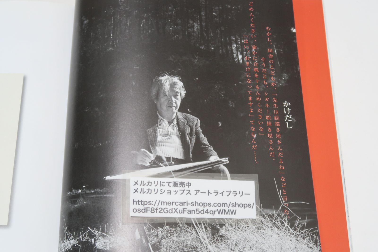 安野光雅の世界・1974→ 2001/別冊太陽特集号・1974年～2001年