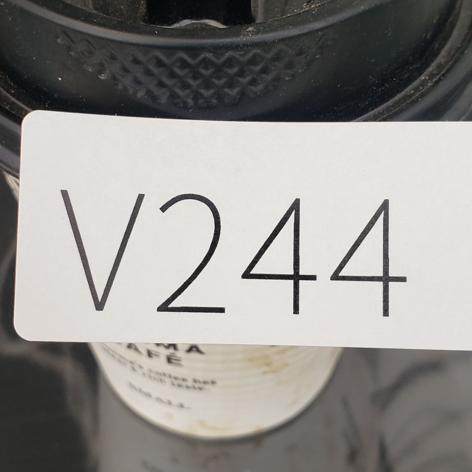 V244【自社養生発根株】Pachypodium 品種不明株（SS）（現地球