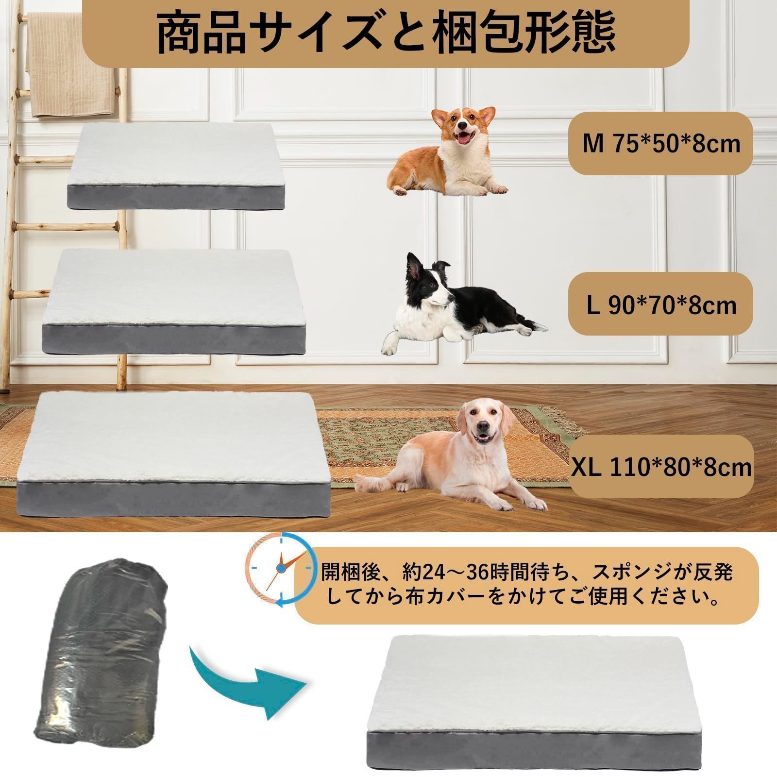 高齢犬介護