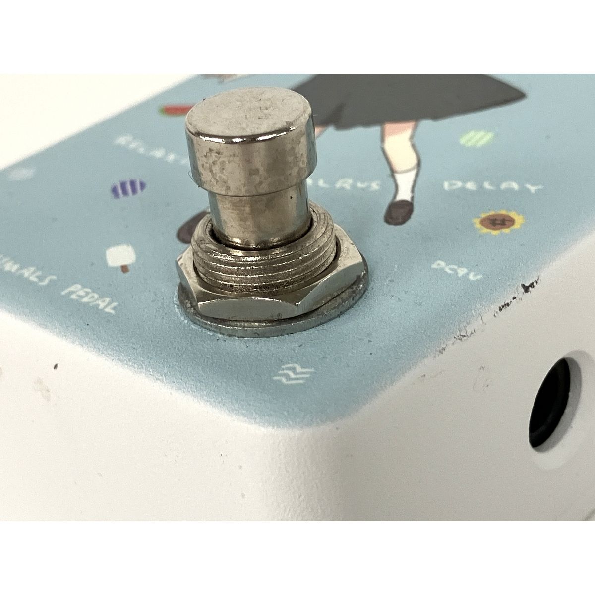 Animals Pedal RELAXING WALRUS DELAY まつだひかり サマー