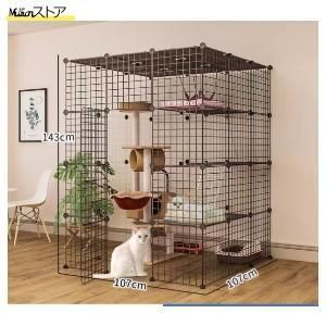 猫 大型