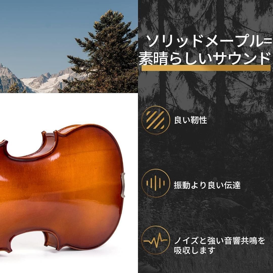 ソリッドウッド