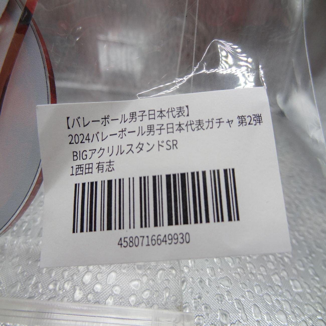 2024バレーボール男子日本代表ガチャ 第2弾　西田有志 Amazon.co.jp: 西田有志 選手2024 バレーボール 男子日本代表